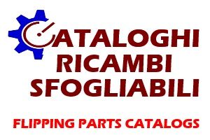 Cataloghi ricambi Piaggiocalo